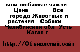 мои любимые чижки › Цена ­ 15 000 - Все города Животные и растения » Собаки   . Челябинская обл.,Усть-Катав г.